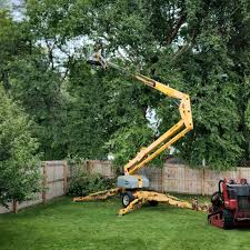 Best Tree Risk Assessment  in Loveland Park, OH